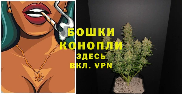 дурь Белокуриха