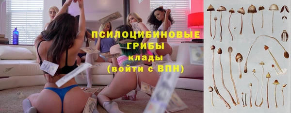 дурь Белокуриха